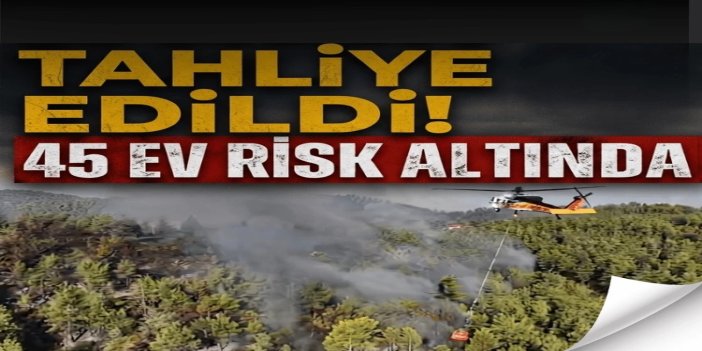 Alanya'daki orman yangınında 45 ev tahliye edildi