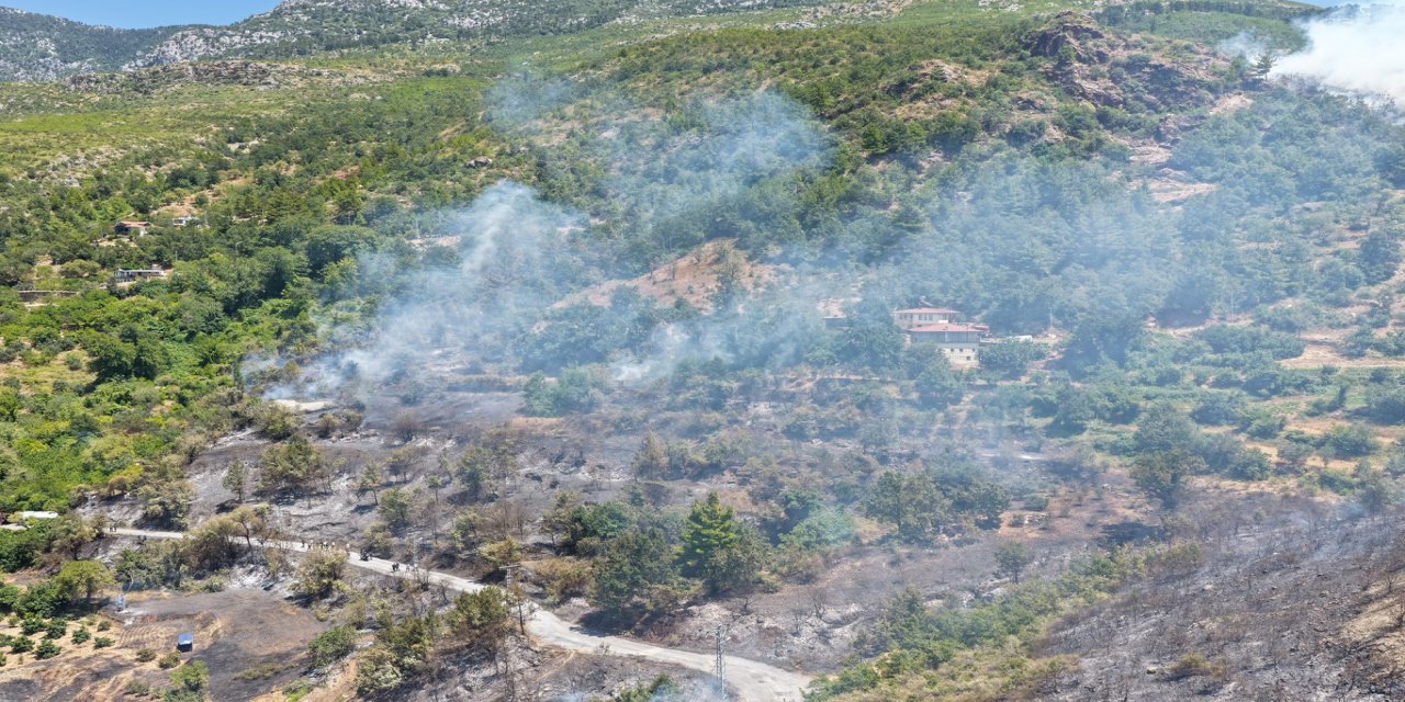 Alanya'daki orman yangınında 153 kişi tahliye edildi