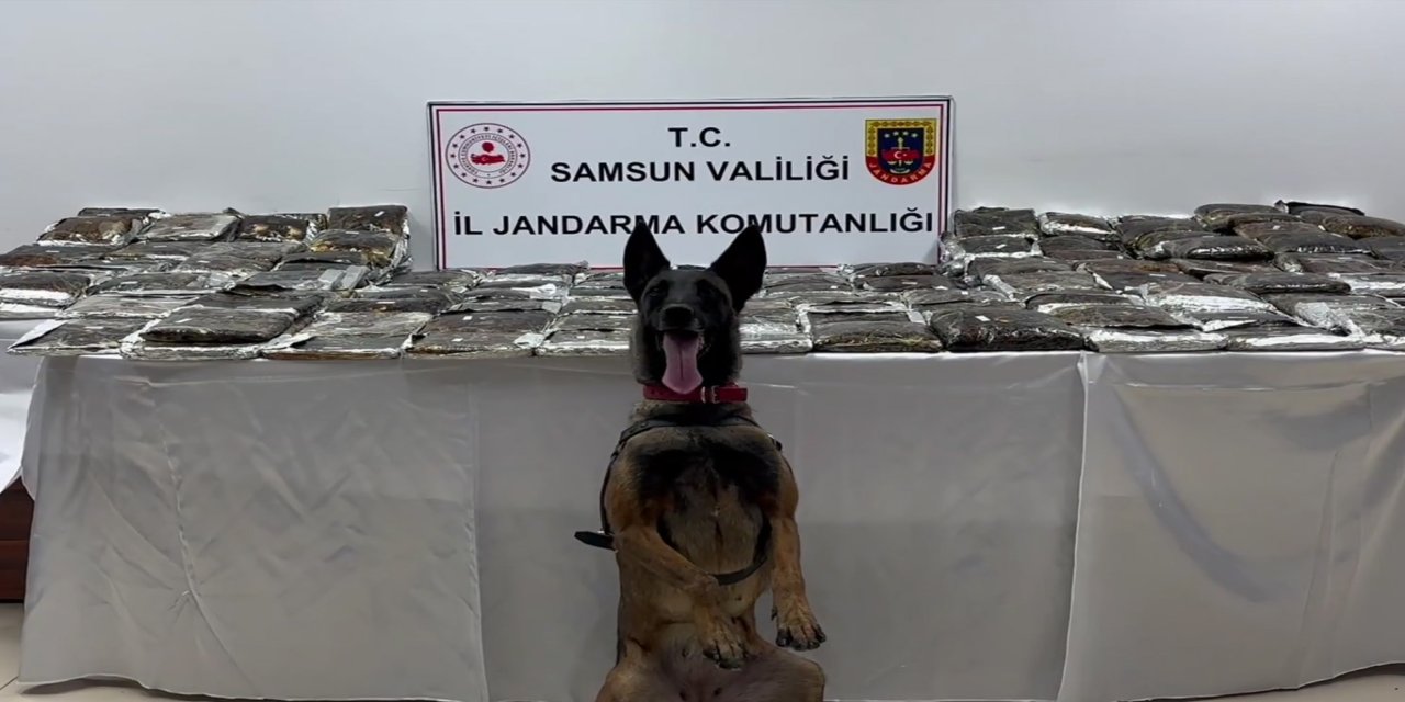 Samsun'da tırda 132 kilogram toz esrar ele geçirildi