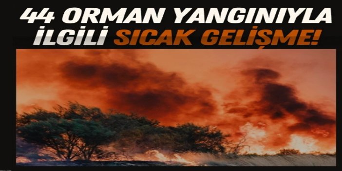 Adalet Bakanı Gürlek: 44 orman yangını soruşturmasında 6 şüpheli tutuklandı