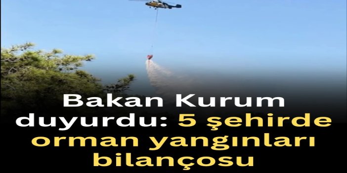 Orman yangınlarından etkilenen 5 ilde hasar tespit çalışmaları tamamlandı