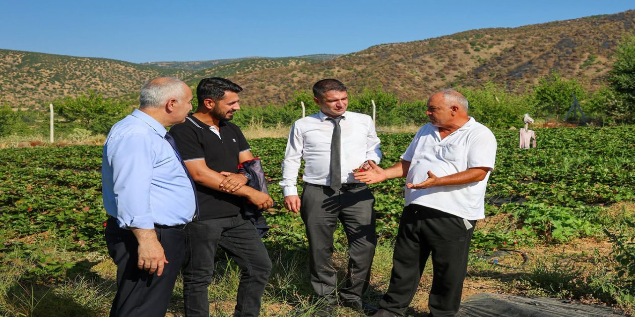 Malatyalı üretici tarımsal üretime farklı ürünlerle katkı sağlıyor