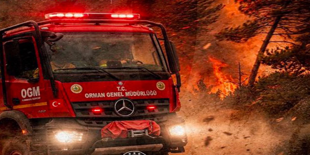 Sinop’ta 2 ilçeye yüksek yangın riski uyarısı