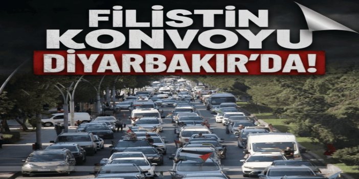 Filistin Konvoyu Diyarbakır'da şehir turu attı