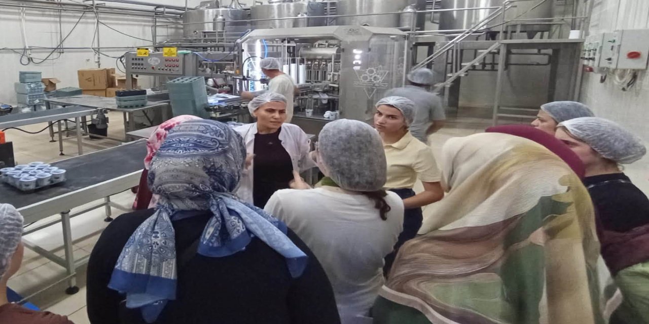 Stajyer öğrenciler süt fabrikasında üretim süreçlerini inceledi