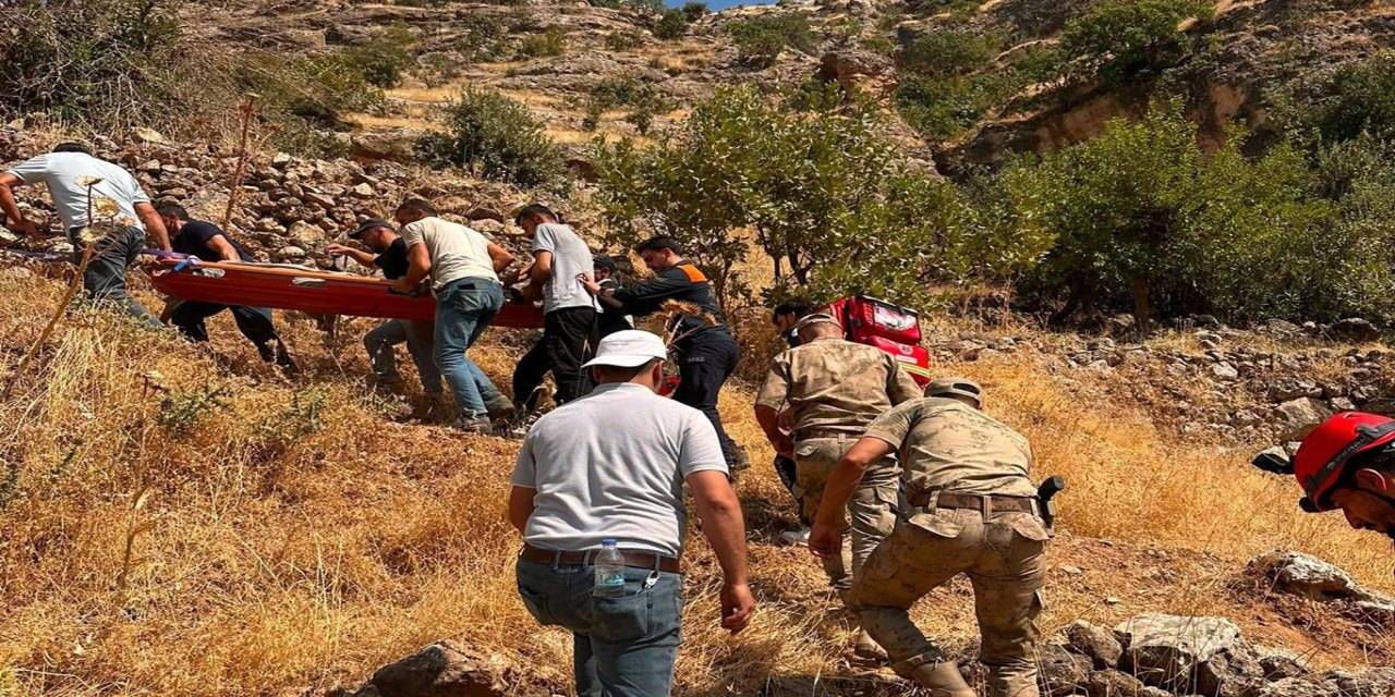 Şırnak’ta ağaçtan düşen vatandaş için ekipler seferber oldu