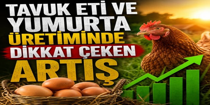 Tavuk eti üretimi haziranda 232 bin 238 tona yükseldi