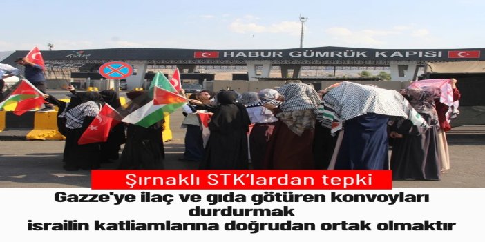 Şırnaklı STK'lardan Filistin Konvoyunun Irak'ta bekletilmesine tepki