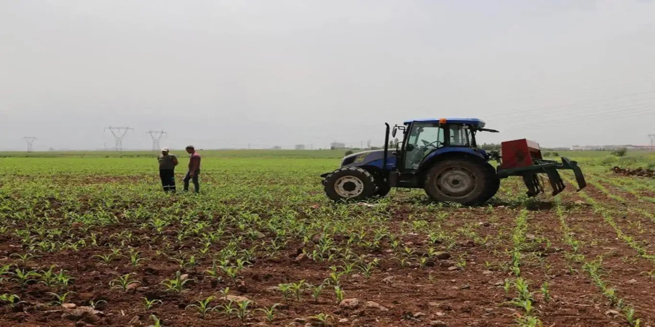 Tarım-ÜFE temmuzda yüzde 18,81 arttı