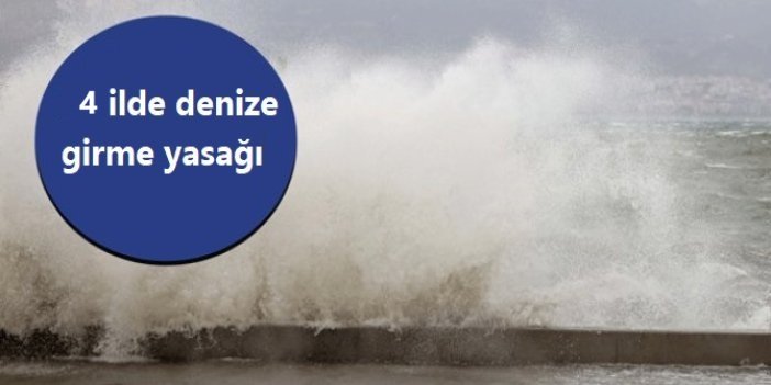 Karadeniz kıyısındaki 4 ilde denize girmek yasaklandı