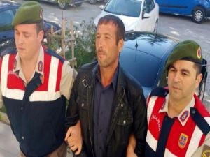 Hapse girmemek için 8 ay kirpi ve yılan yedi