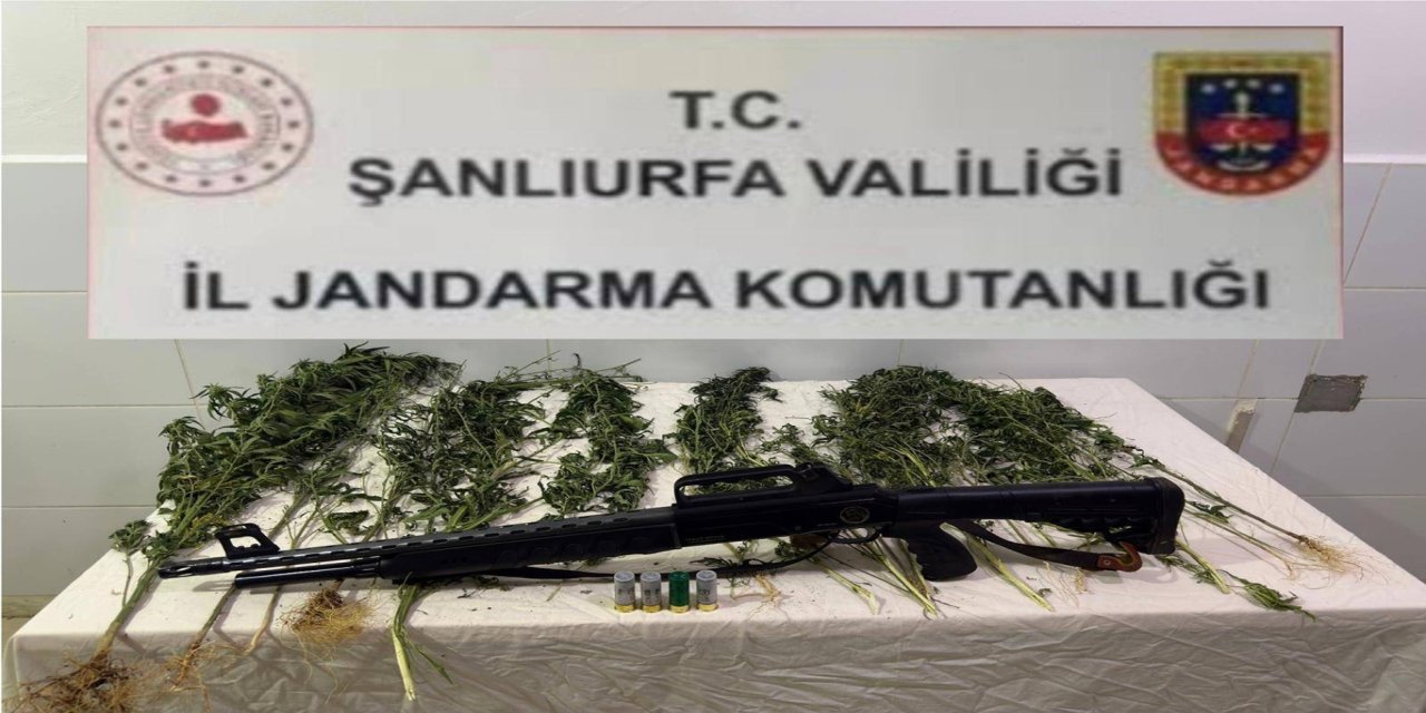 Şanlıurfa’da uyuşturucu operasyonu