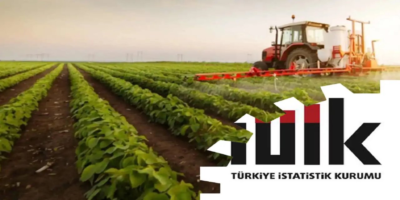 Tarımsal girdi fiyatları yıllık yüzde 32,06 arttı
