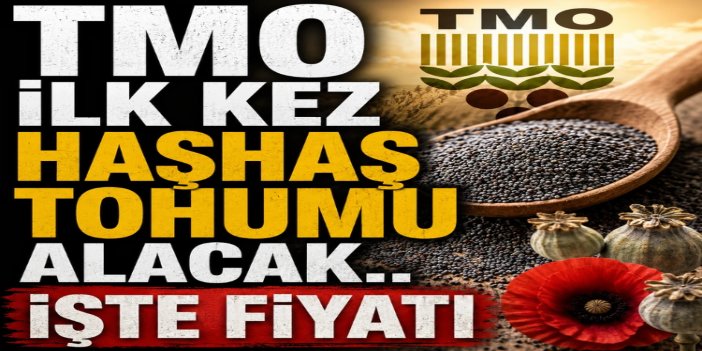TMO ilk kez haşhaş tohumu alacak
