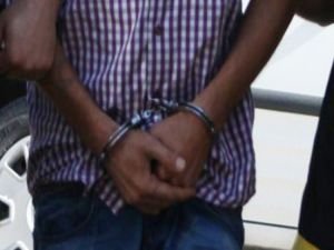 PKK operasyonu:16 gözaltı