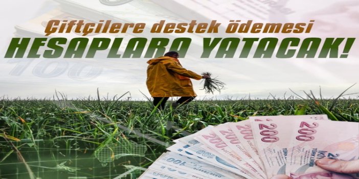 Tarımsal destekleme ödemeleri çiftçilerin hesaplarına aktarılıyor