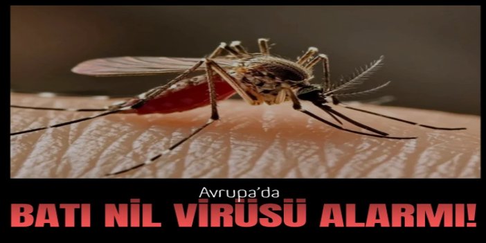 Avrupa’da Batı Nil virüsü alarmı: 12 ülkede 625 vaka tespit edildi