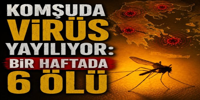 Yunanistan'da Batı Nil virüsü vakaları arttı: Can kaybı 19'a çıktı