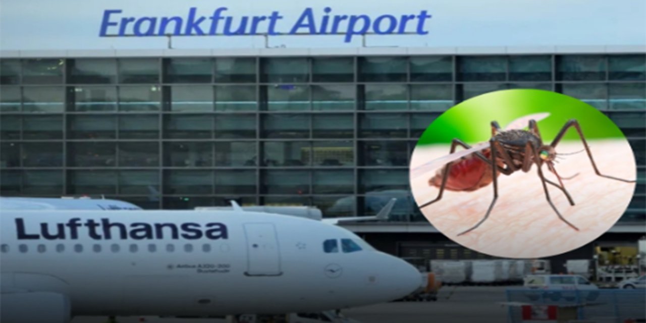 Almanya'da 2 kişi sıtma nedeniyle öldü