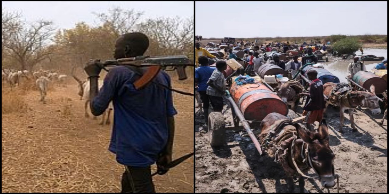 Güney Sudan'da silahlı sığır baskını: 49 kişi hayatını kaybetti