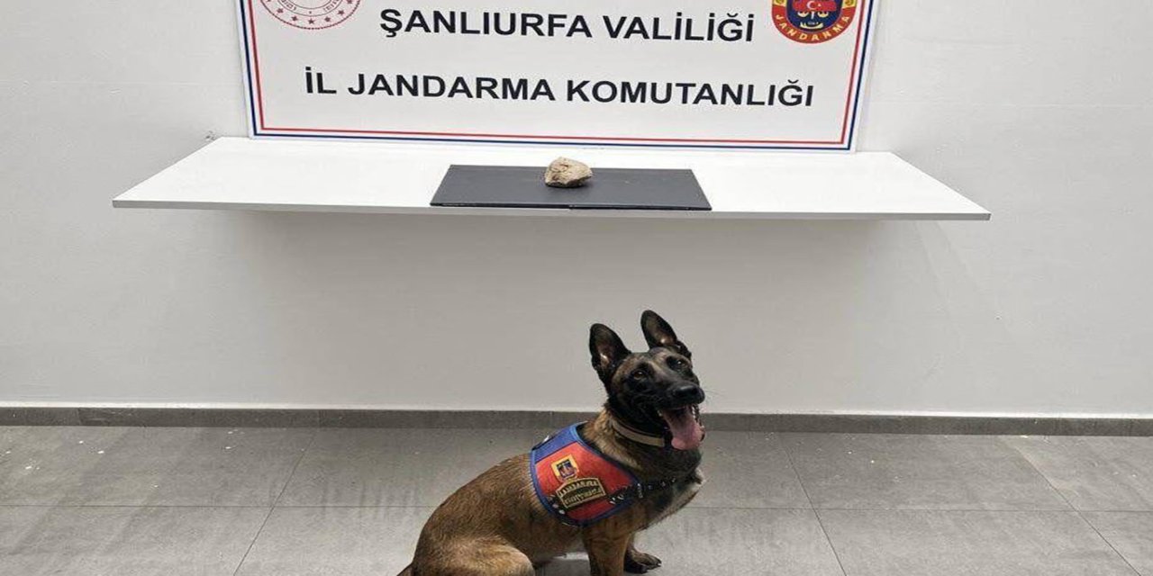 Şanlıurfa'da uyuşturucu operasyonunda bir şüpheli tutuklandı