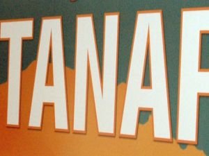 Azerbaycan Parlamentosundan TANAP’a onay