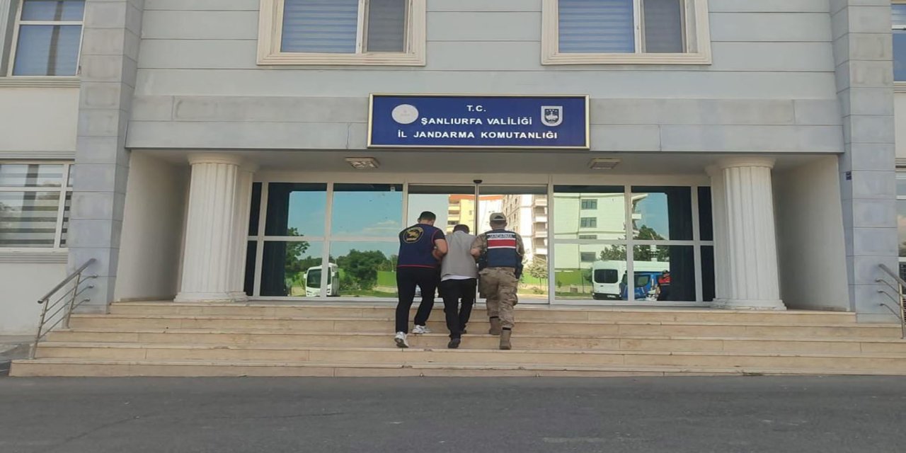 Şanlıurfa'da 72 milyon liralık dolandırıcılığın firari şüphelisi yakalandı