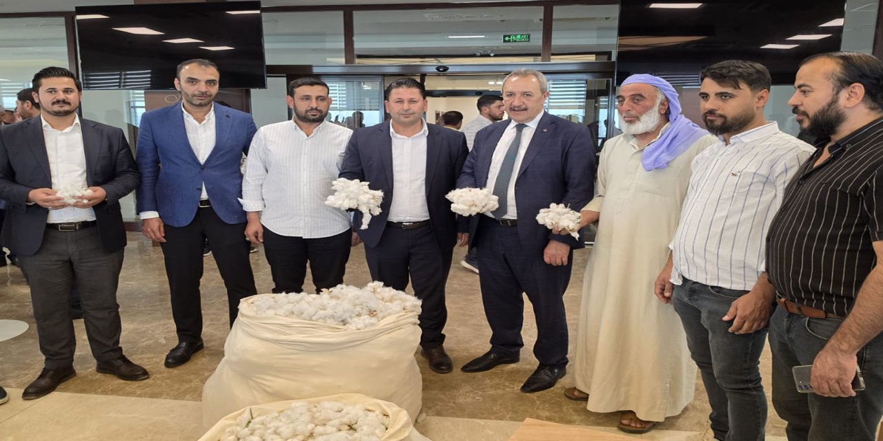 Şanlıurfa'da sezonun ilk pamuğu satıldı