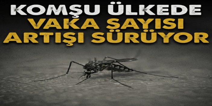 Yunanistan’da Batı Nil virüsü vaka sayısı 290’a çıktı