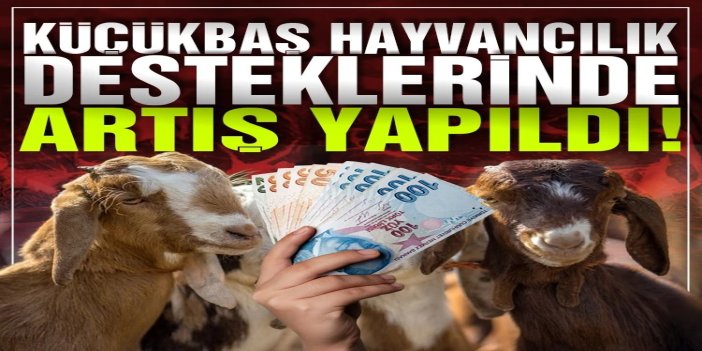 Küçükbaş hayvancılık desteklerinde artış yapıldı