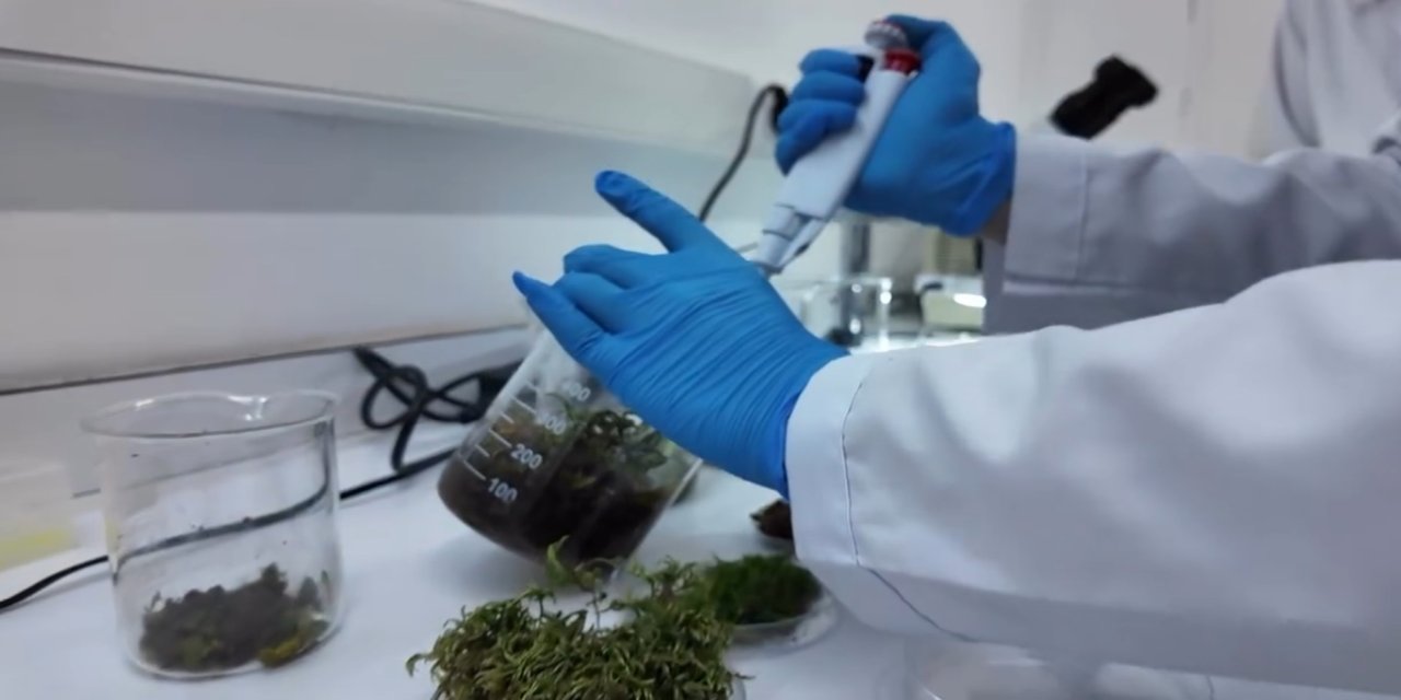 Gıda aromalarında yeni düzenleme
