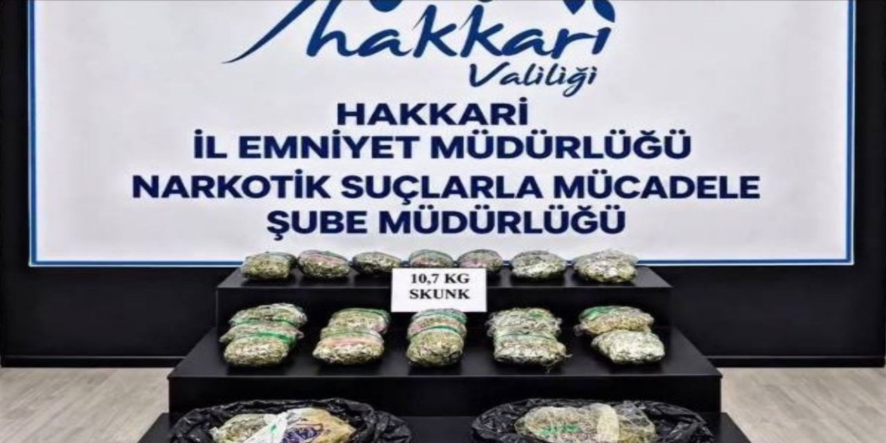 Hakkari'de 10 kilogram skunk ele geçirildi: 9 tutuklama