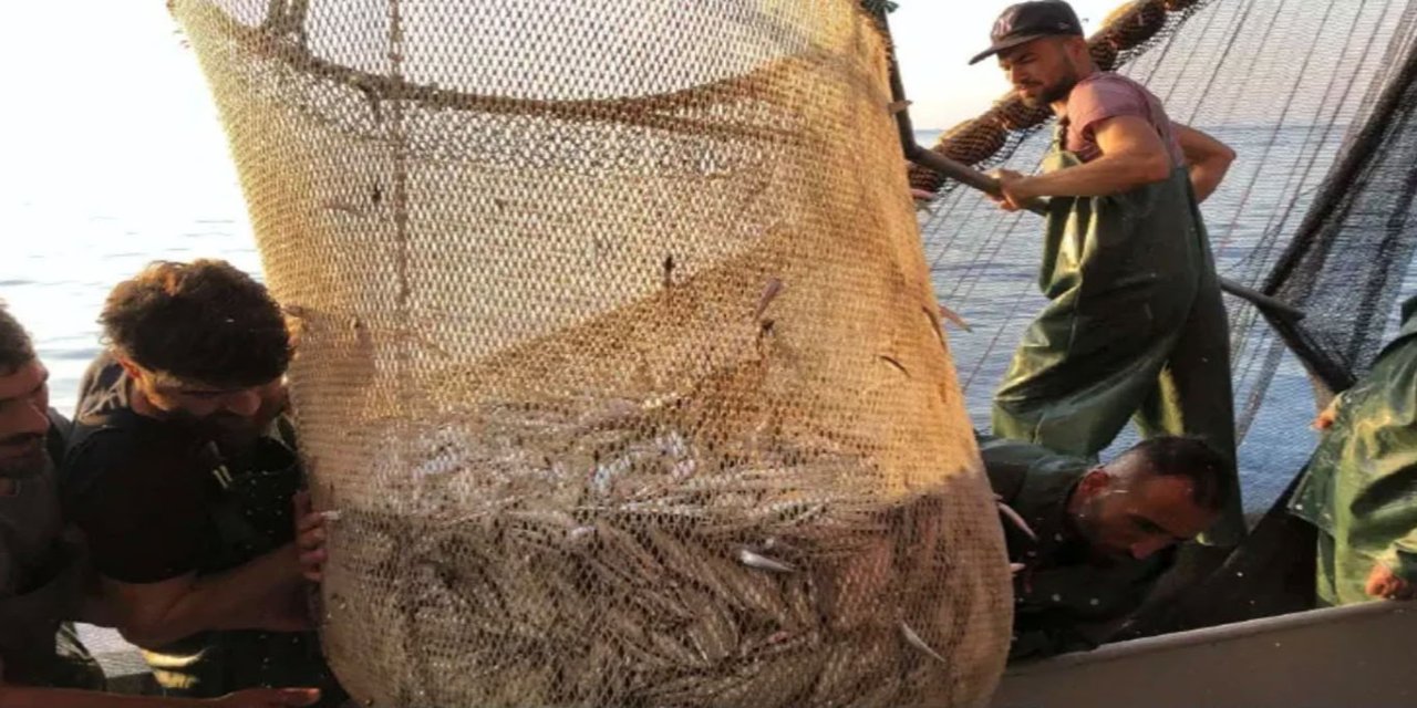 İzmir’de balık sezonu bereketli başladı: Tezgâhlarda fiyatlar geriledi