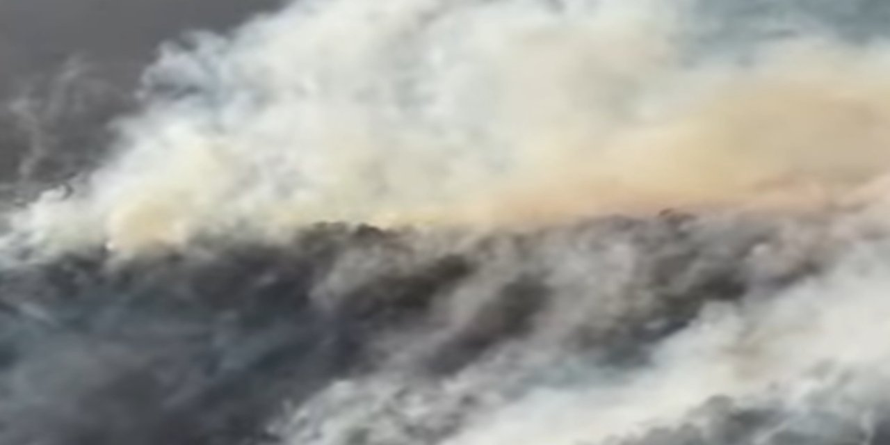 Bingöl’de orman yangını kontrol altına alındı