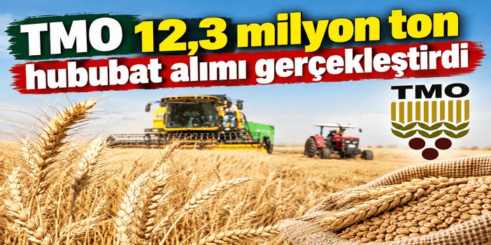 TMO 12,3 milyon ton hububat alımı gerçekleştirdi