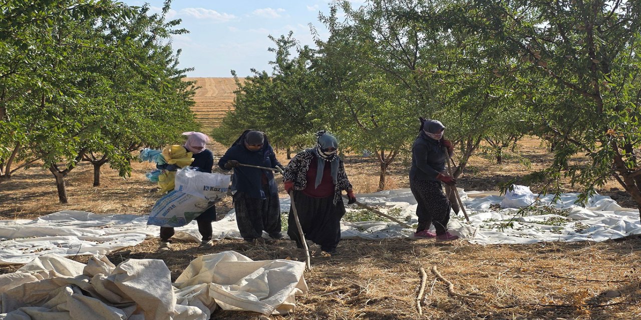HÜDA PAR İl Başkanlığından Adıyaman bademi için fiyat ve destek çağrısı