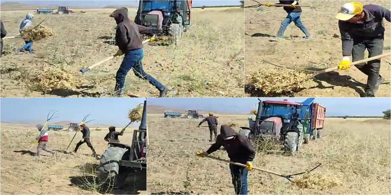 Artan maliyetlerden dert yanan üreticiler: Bu toprakları bırakalım mı?