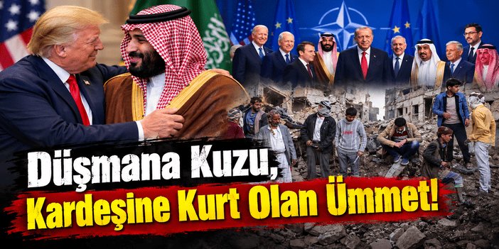 Düşmana Kuzu, Kardeşine Kurt Olan Ümmet!