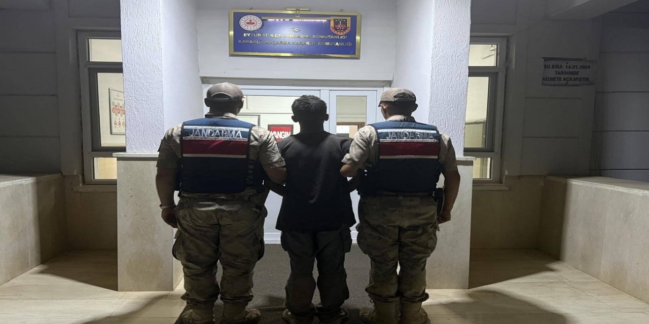 Şanlıurfa'da göçmen kaçakçılığına yönelik operayon: 20 organizatör hakkında işlem