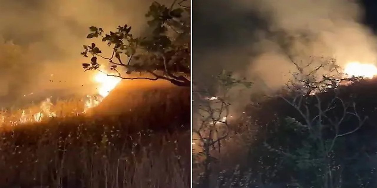 Siirt'te kontrol altına alınan yangın gece yeniden başladı