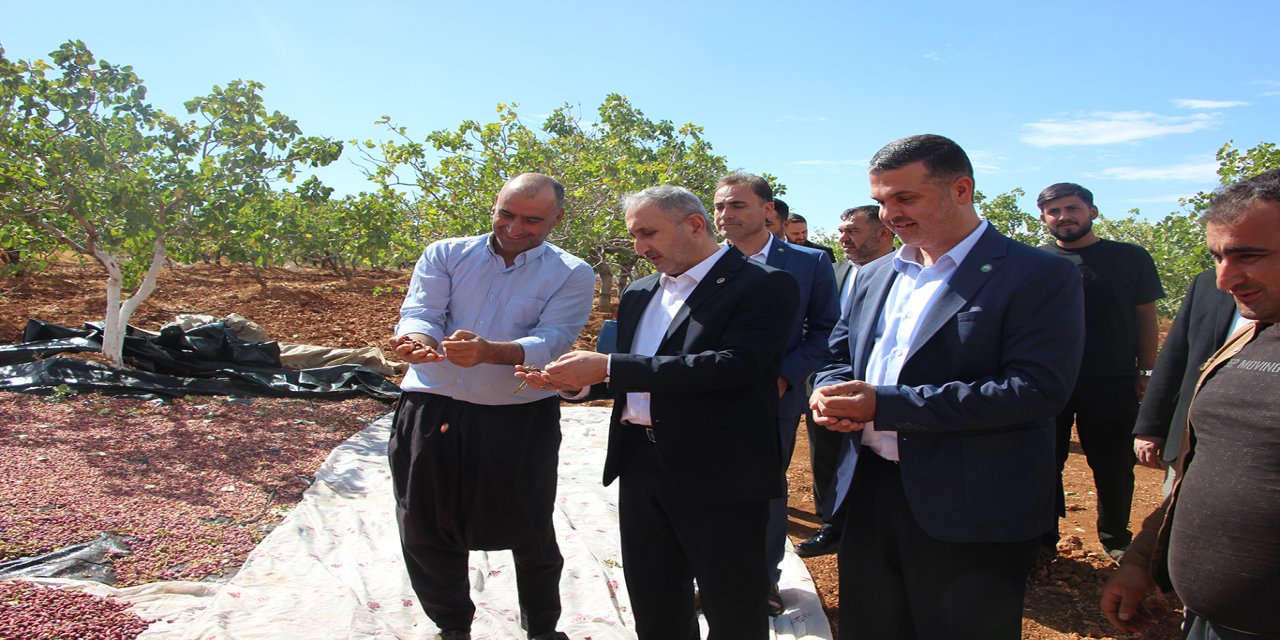 HÜDA PAR Milletvekili Demir: Fıstık piyasasının denetim mekanizmasına ihtiyacı var
