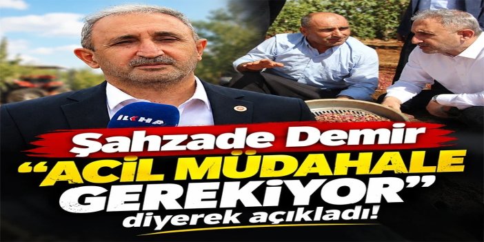 HÜDA PAR Milletvekili Demir: Fıstık üreticisinin ayakta kalabilmesi için acil müdahale gerekiyor