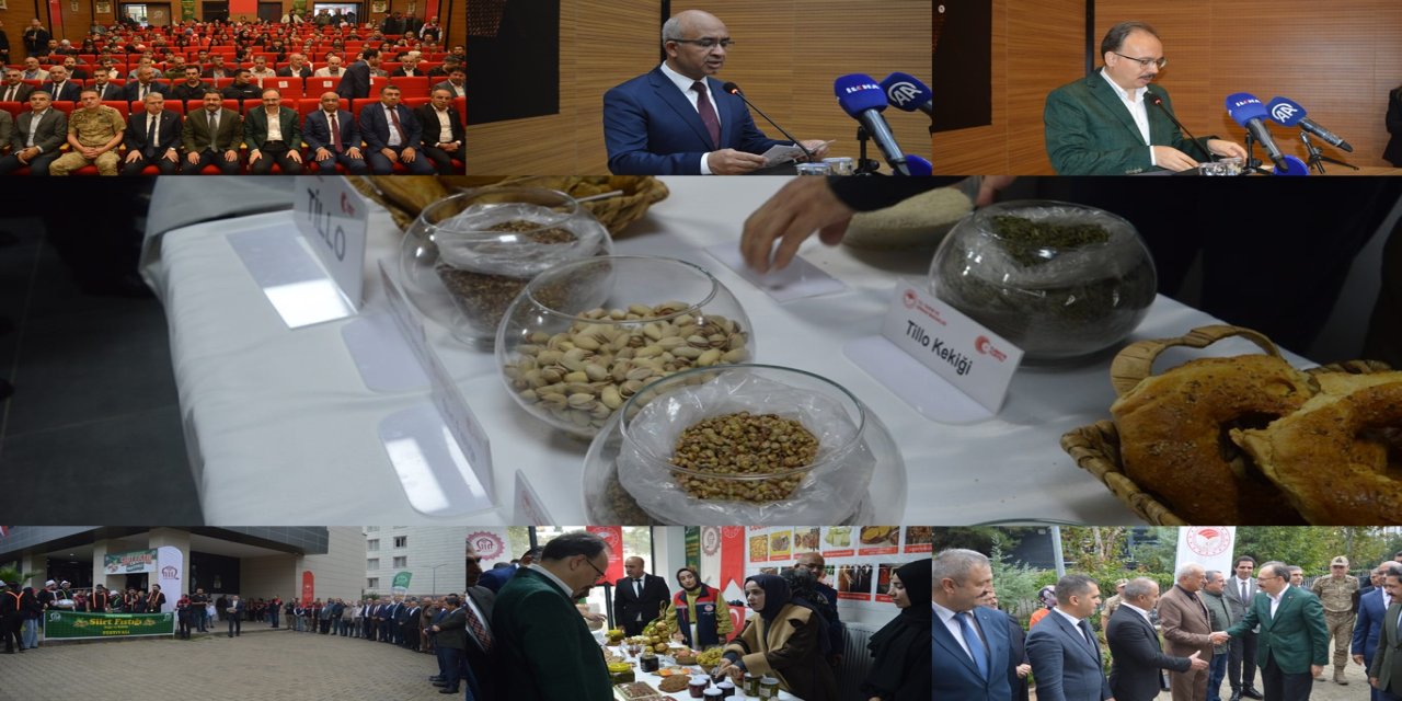 Siirt fıstığında yeni hedef: Üretim 50 bin tona çıkarılacak