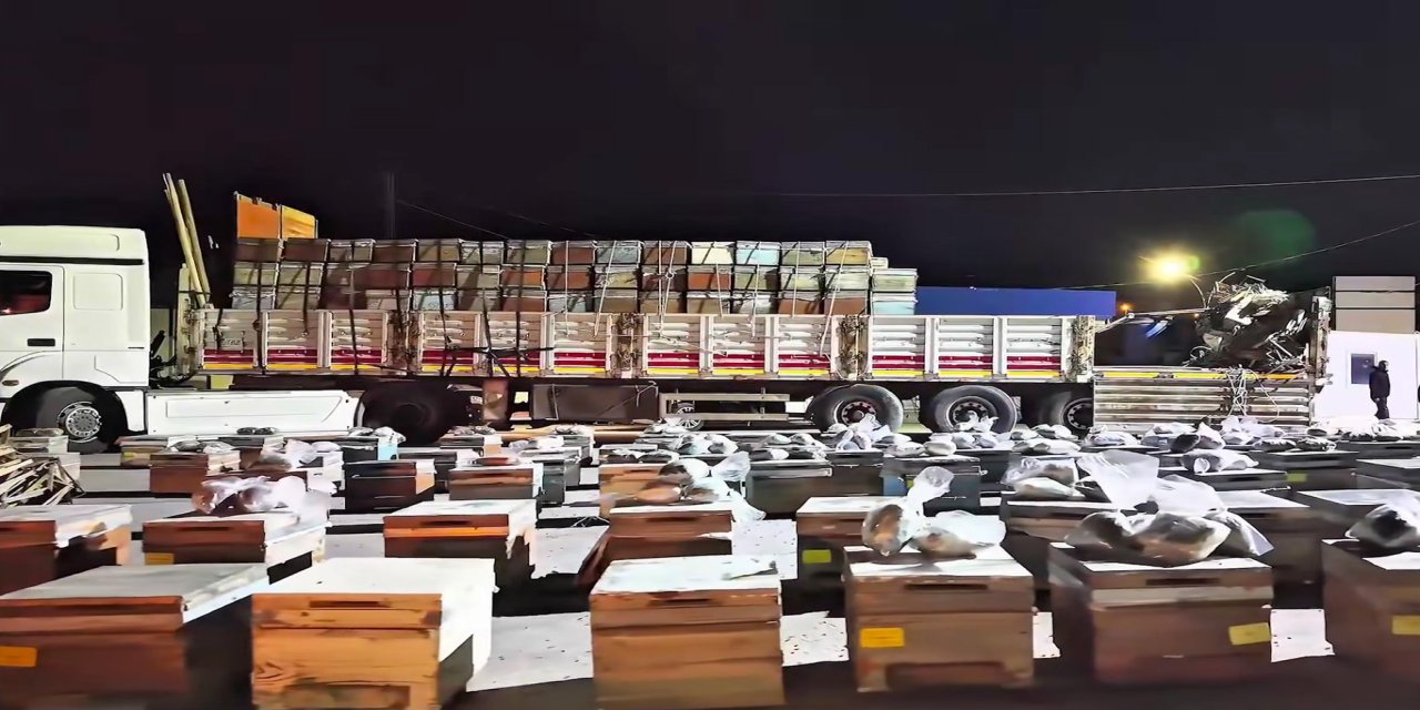 Arı kovanlarının arasına gizlenmiş 91,1 kilo uyuşturucu ele geçirildi