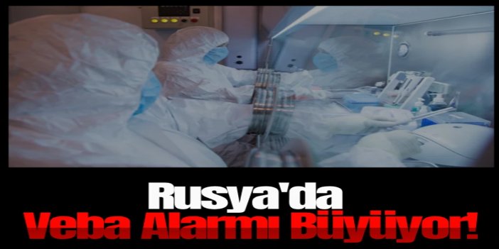 Rusya'da veba alarmı büyüyor: İkinci ölüm iddiası