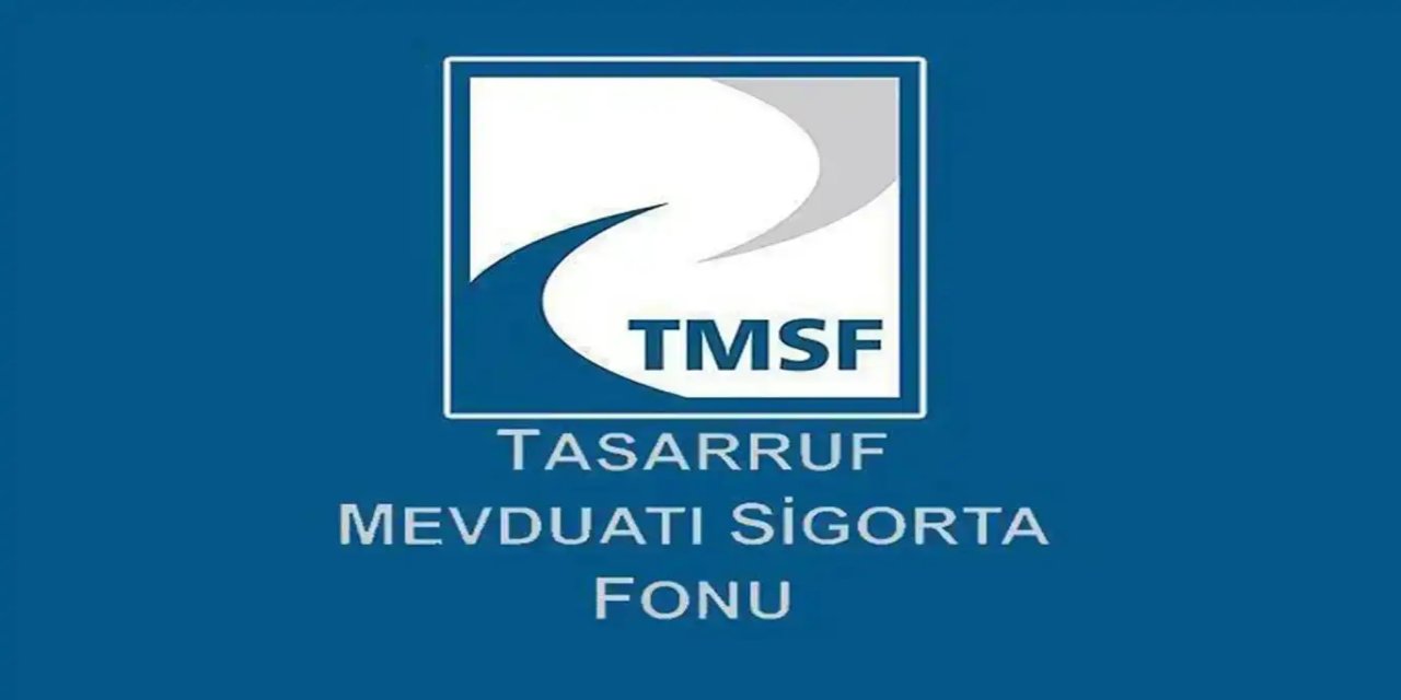TMSF, fon denetimi için 75 personel alacak