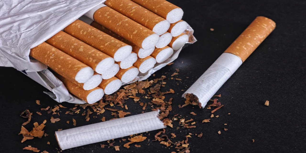45 Kuruluştan Cumhurbaşkanlığı'na tütün kanunu mektubu