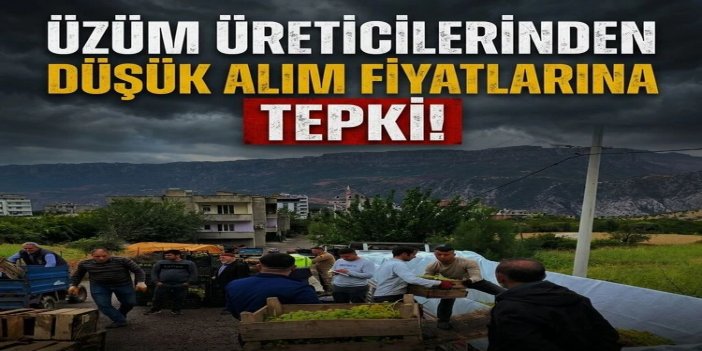 Üzüm üreticilerinden düşük alım fiyatlarına tepki : Tüccara satmayıp sirke yapacaklar