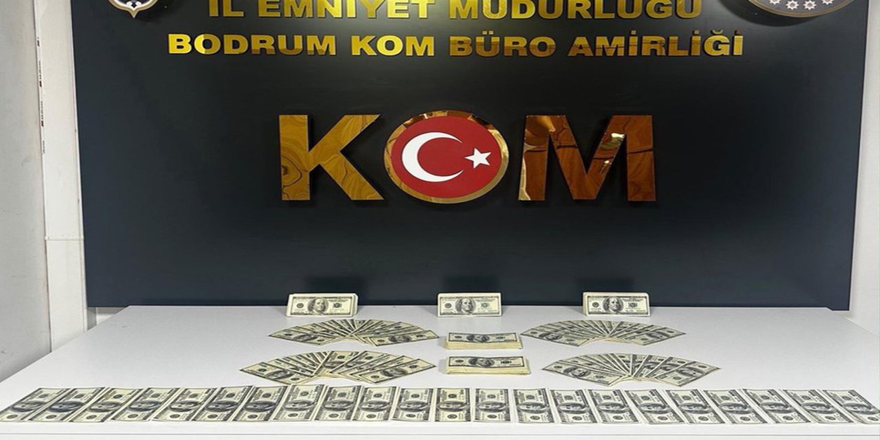 Muğla’da 46 bin 200 sahte dolar ele geçirildi: Bir şüpheli tutuklandı