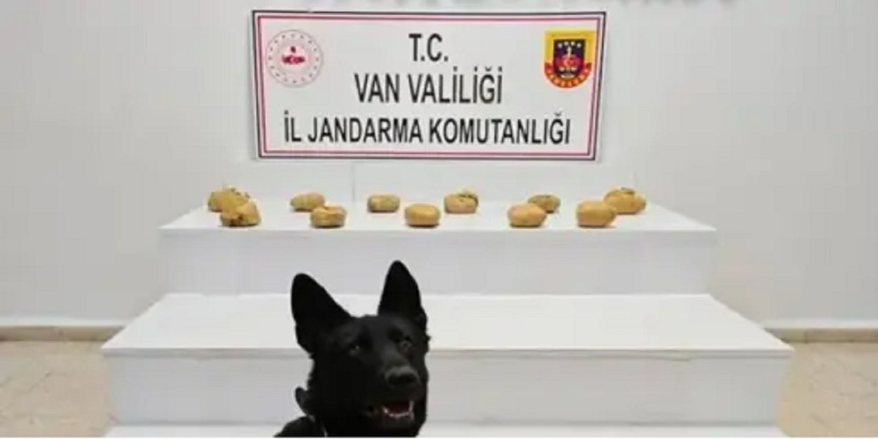 Van'da araziye gizlenmiş yaklaşık 12 kilo toz esrar bulundu